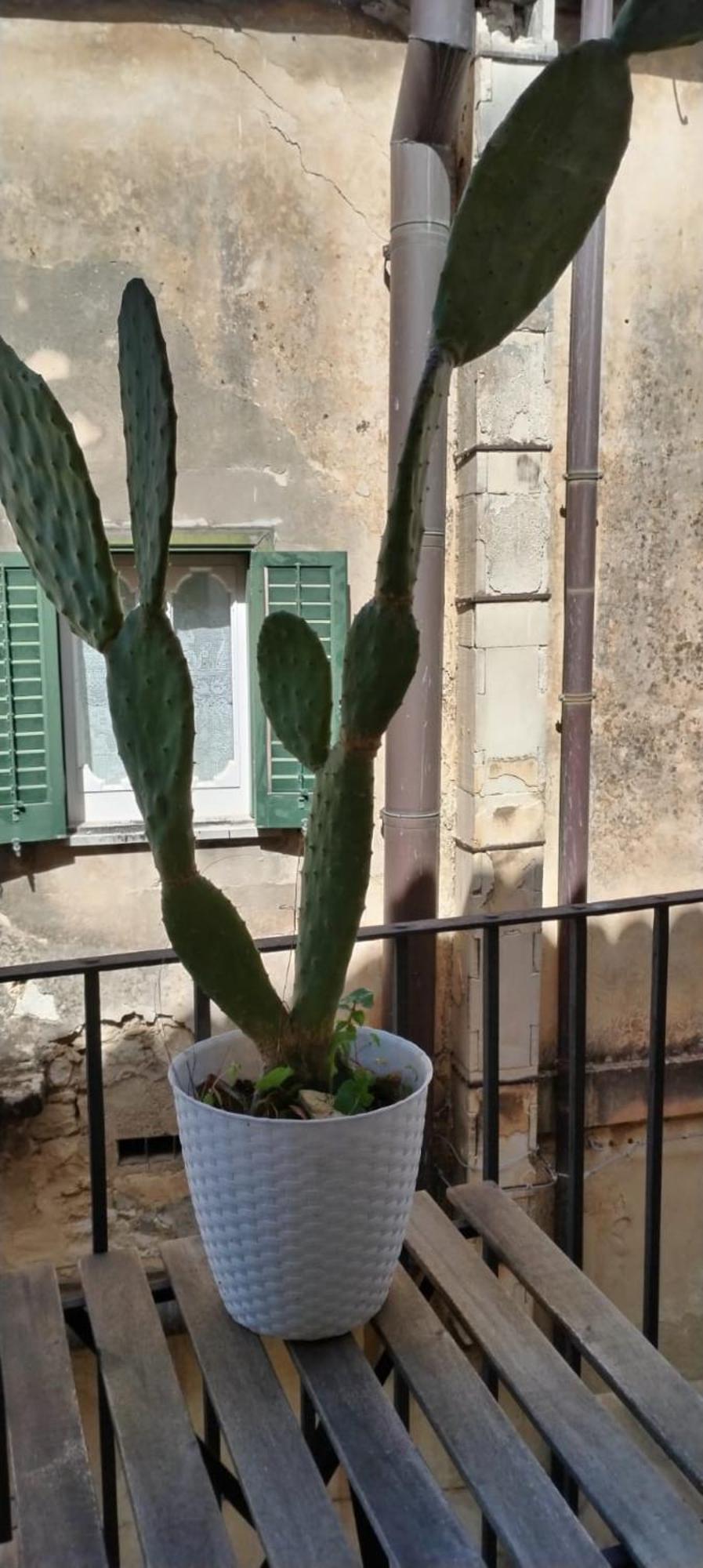 Residenza Donnafugata B&B Ragusa Bagian luar foto